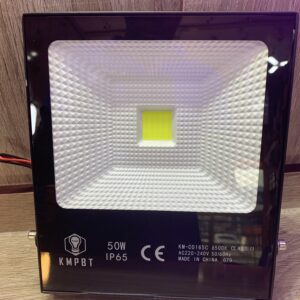 50 Watts Flood Light